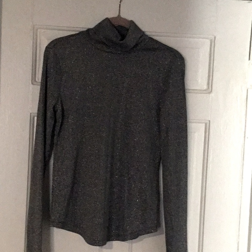 New Silver Turtleneck